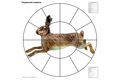 Мишень 16-дольная Русак 800*800мм, 80г/м (1шт)