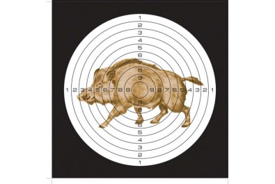 Мишень для пневматики Кабан 140*140 картон (50шт)